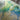 Prismatic PRS16 Seafoam - RugAvenue