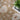 Infinite IFT04 Mocha - RugAvenue