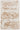 Nourison Harmony HAY01 ivory and gold rug with intricate pattern, rectangular 2x3 feet, soft textured design ideal for living spaces.