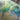 Nourison Prismatic PRS16 Seafoam rug with abstract pattern, soft seafoam green colors and plush texture, 3.9 x 5.9 feet.