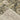 Indoor rug by Oriental Weavers, Andorra 7125C, 10x3.2 feet, featuring intricate patterns and warm tones for stylish home decor.