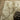 Indoor rug by Oriental Weavers, Reed RE10A, with a detailed pattern in neutral tones, measuring 2.3 x 7.6 feet.