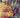 Prismatic PRS08 Multicolor - RugAvenue